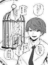 The Parakeet Wants to tell you
