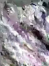 Kusobitch na Gal Ane o Wakaraseru Hanashi