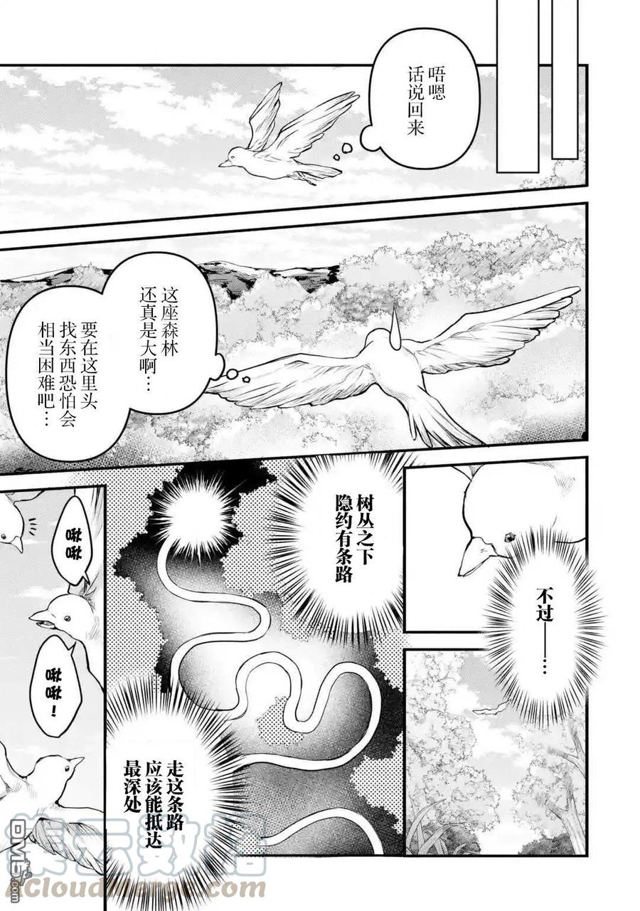 Yuusha Party wo Tsuihou Sareta Beast Tamer, Saikyou Shuzoku Nekomimi Shojo to Deau Ch.26 p5