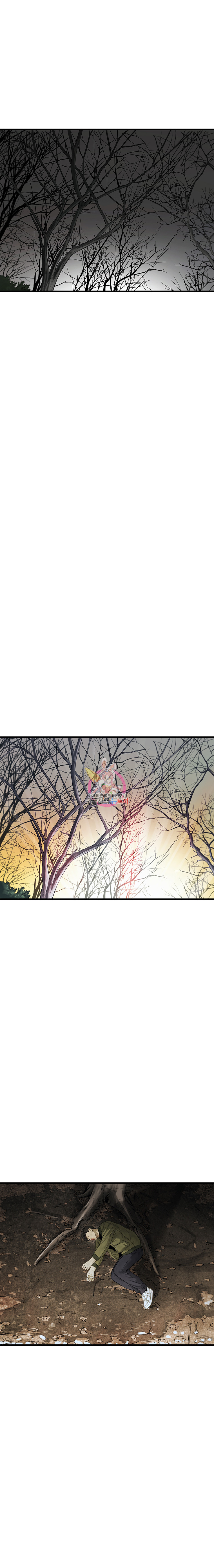 Cell Ch.4 p26