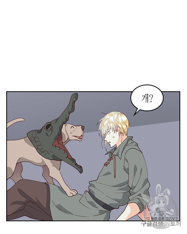 Emperor And The Female Knight Ch.37 p67