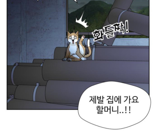 Face Genius Ch.28 p123