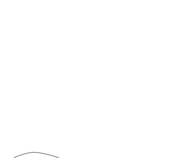 Face Genius Ch.34 p50