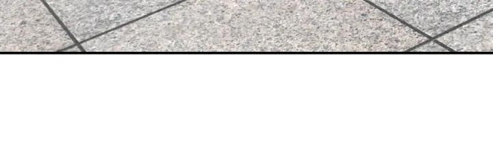 Greatest Boss System Ch.23 p14