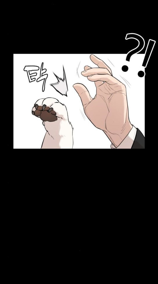 How to fight Ch.15 p24