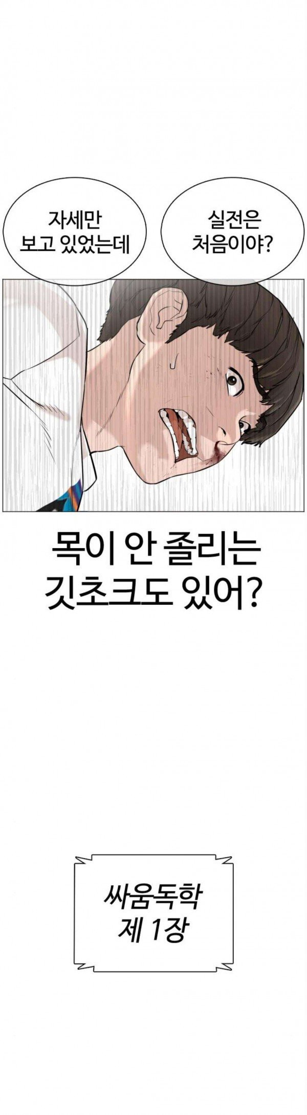 How to fight Ch.19 p55