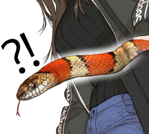 How to fight Ch.23 p197