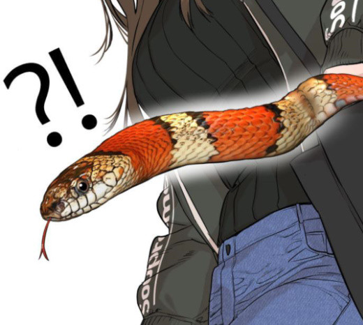How to fight Ch.23 p92