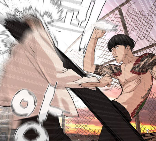How to fight Ch.33 p245