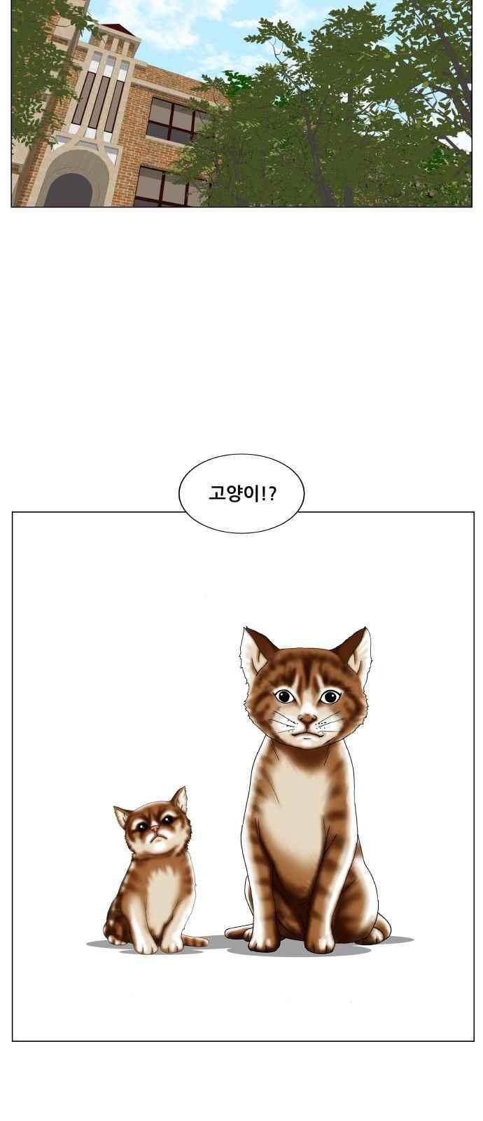 Ultimate Legend: Kang Hae Hyo Ch.255 p17