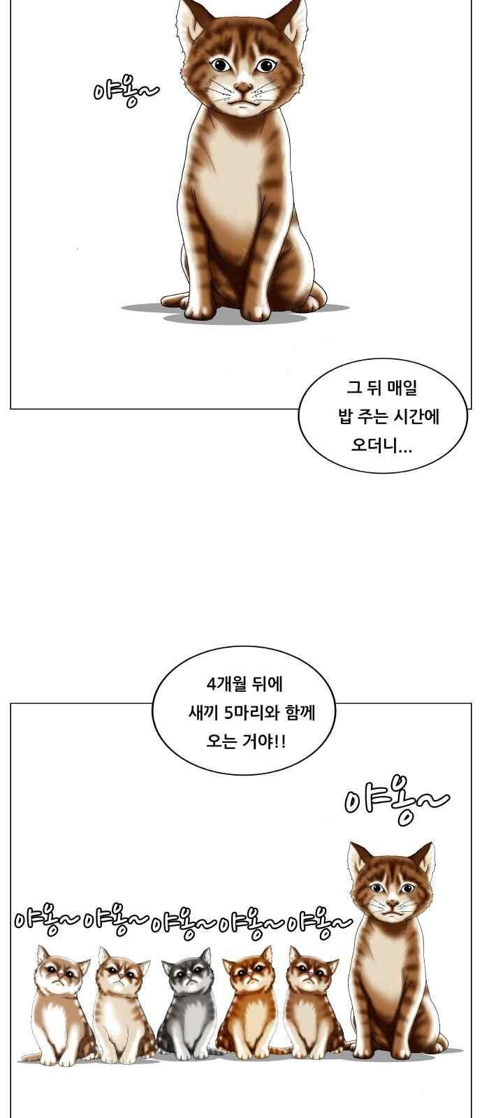 Ultimate Legend: Kang Hae Hyo Ch.255 p21