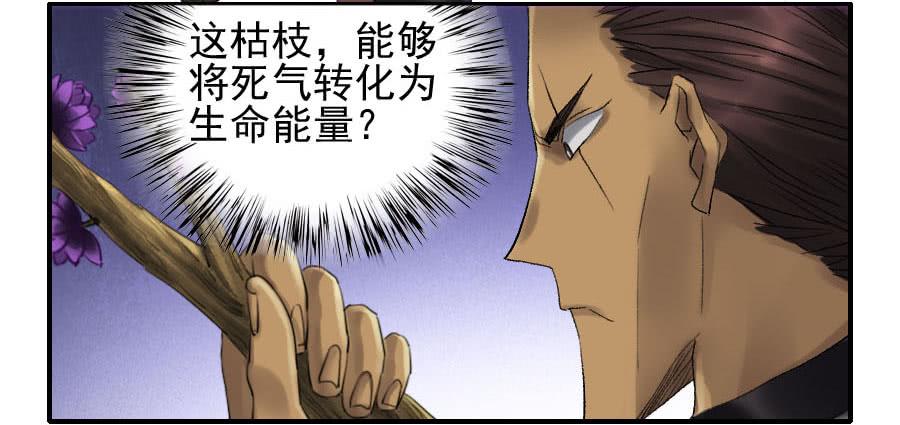 Martial Legacy Ch.110 p9