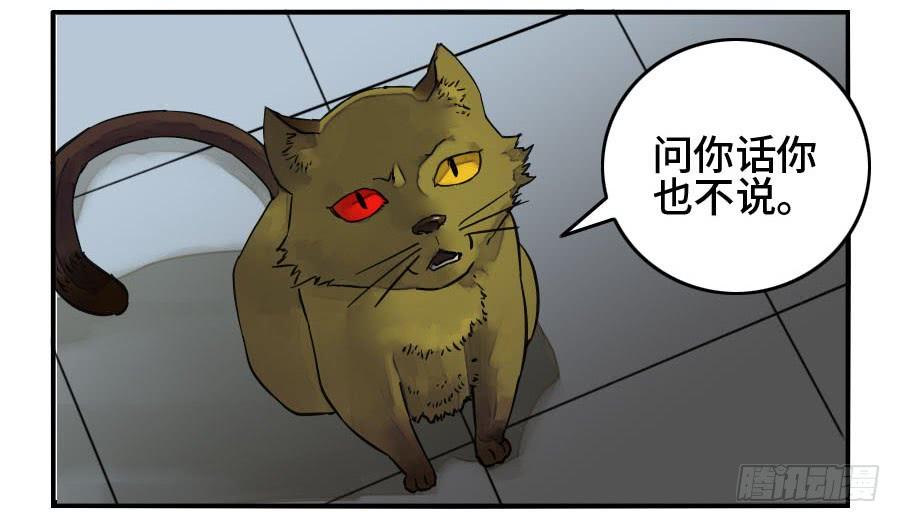 Martial Legacy Ch.161 p11