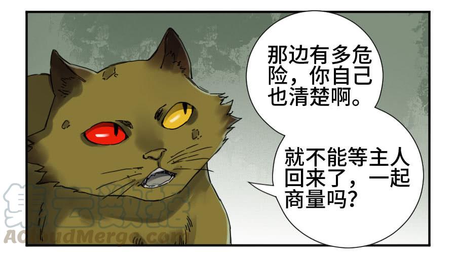 Martial Legacy Ch.163 p22