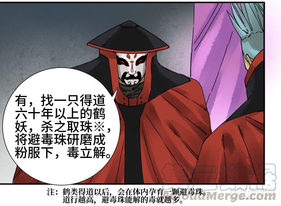 Martial Legacy Ch.163 p43