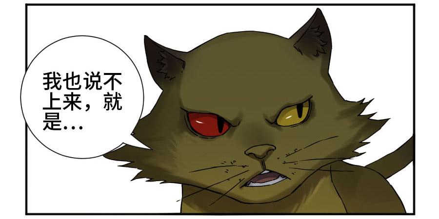Martial Legacy Ch.177 p6