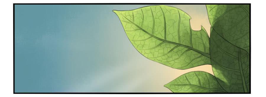 Martial Legacy Ch.30 p18