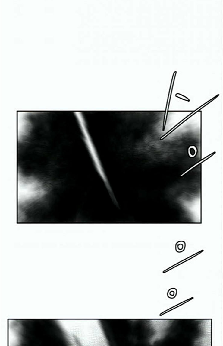 Parrot Blade Ch.11 p35