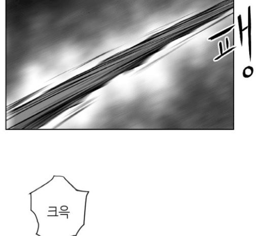 Parrot Blade Ch.13 p85