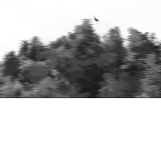 Parrot Blade Ch.15 p131