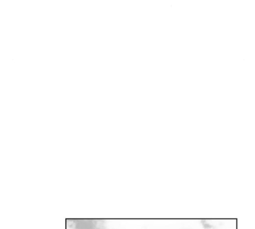Parrot Blade Ch.15 p137