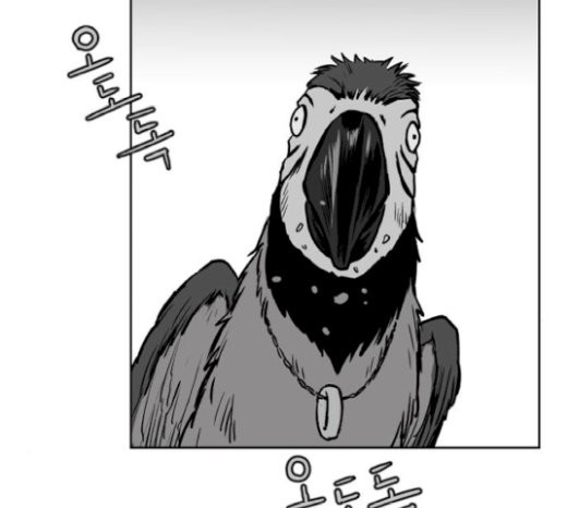 Parrot Blade Ch.15 p156
