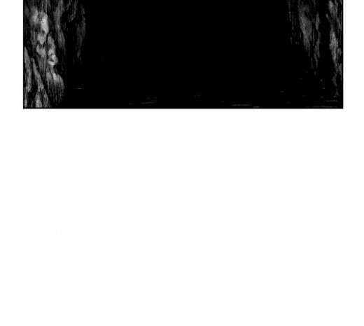 Parrot Blade Ch.16 p160