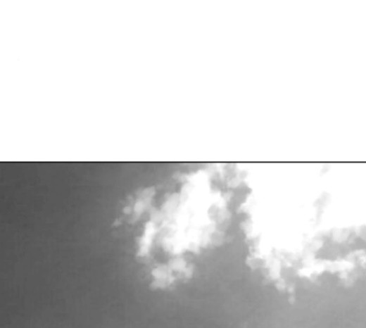Parrot Blade Ch.16 p79