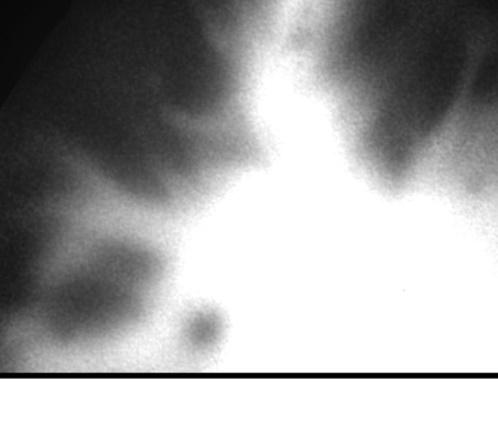 Promised Orchid Ch.55 p140