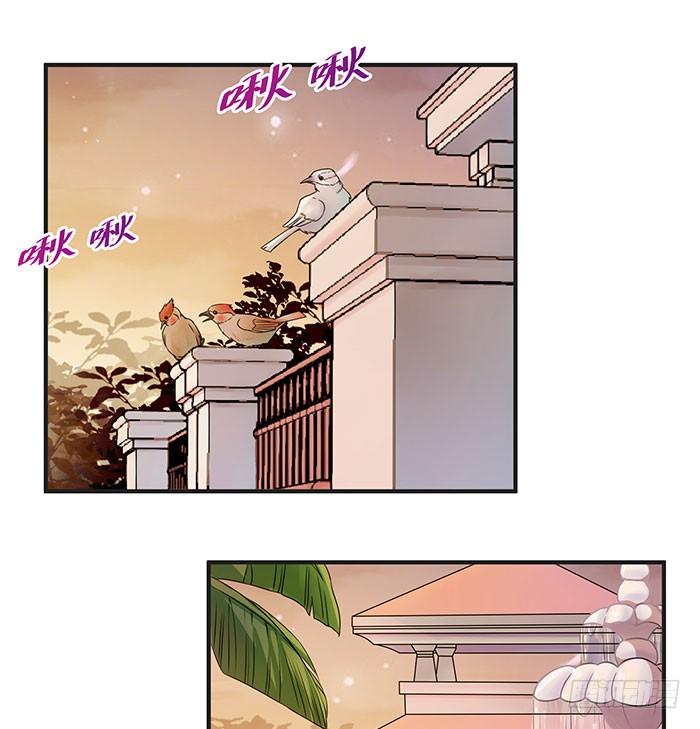 Rebirth: City Deity Ch.4 p20