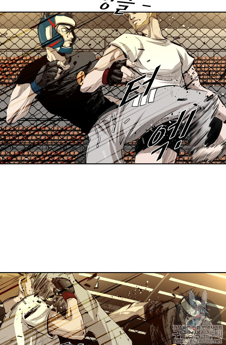 Shark Ch.133 p12
