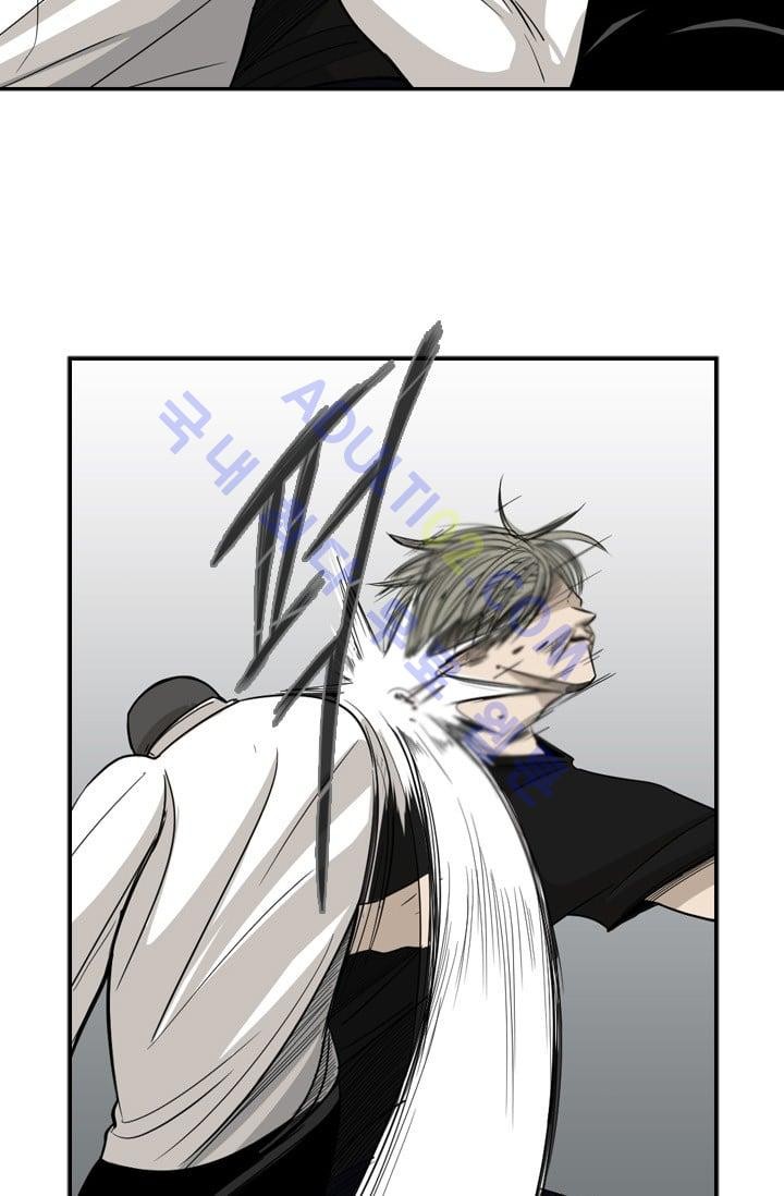 Shark Ch.17 p45