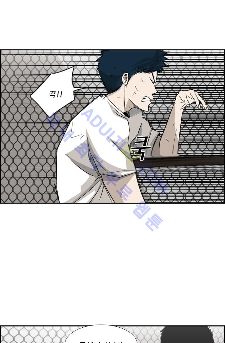 Shark Ch.19 p68