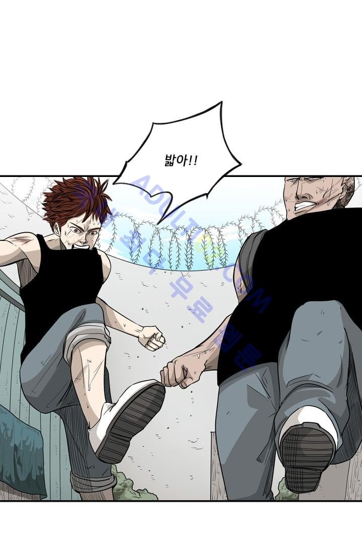 Shark Ch.26 p19
