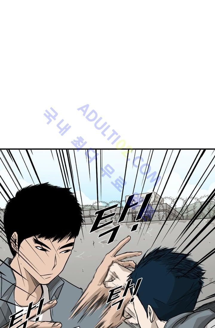 Shark Ch.31 p11