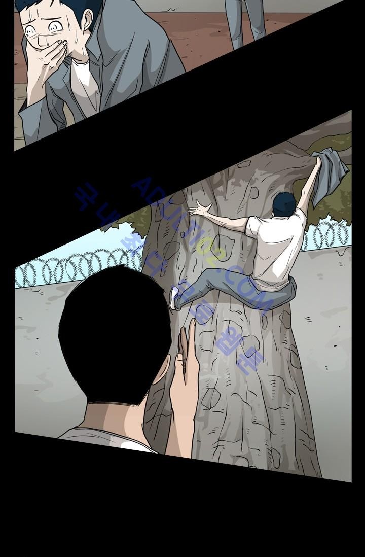 Shark Ch.35 p98