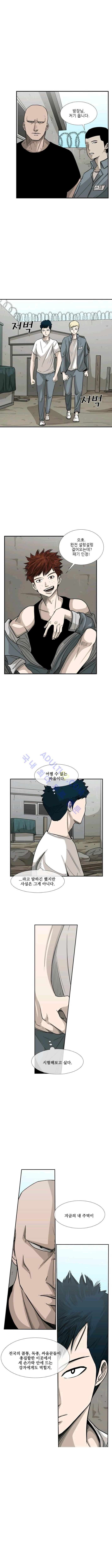 Shark Ch.41 p6