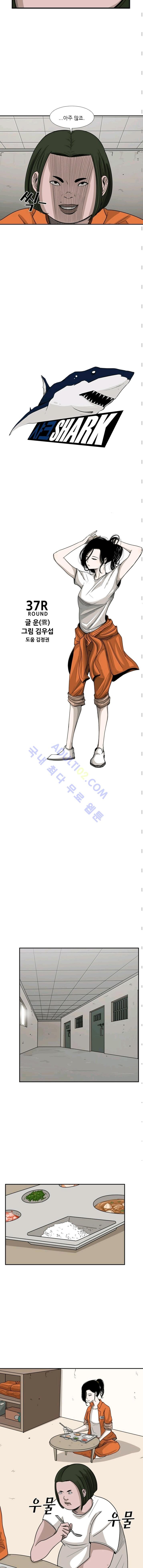 Shark Ch.45 p4