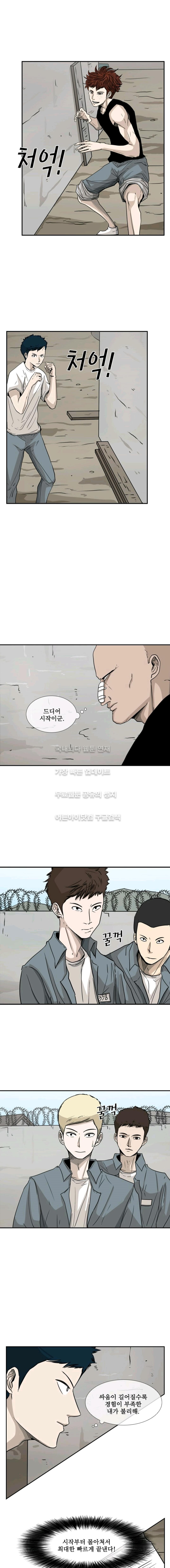 Shark Ch.51 p8