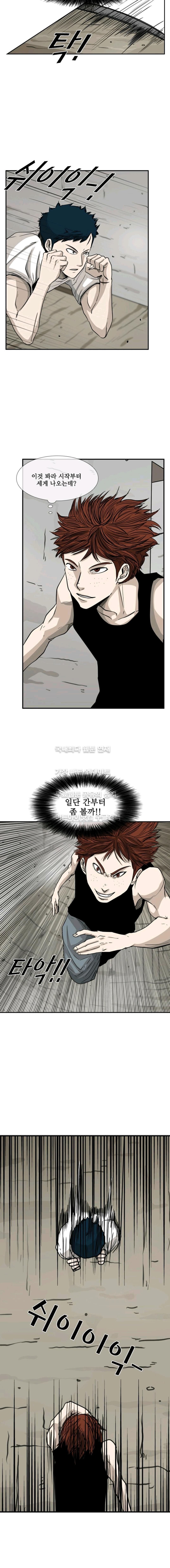 Shark Ch.51 p9