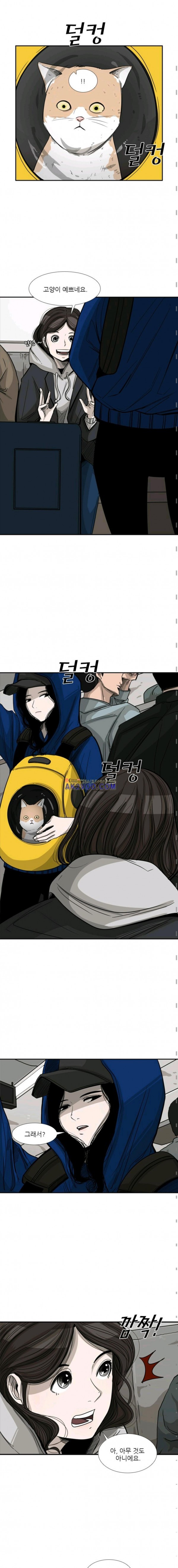 Shark Ch.65 p5