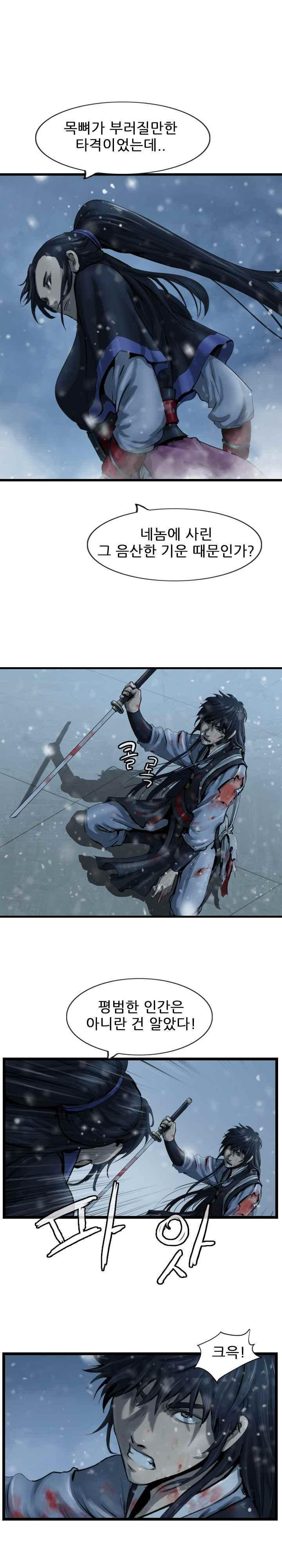 The Wanderer Ch.40 p12