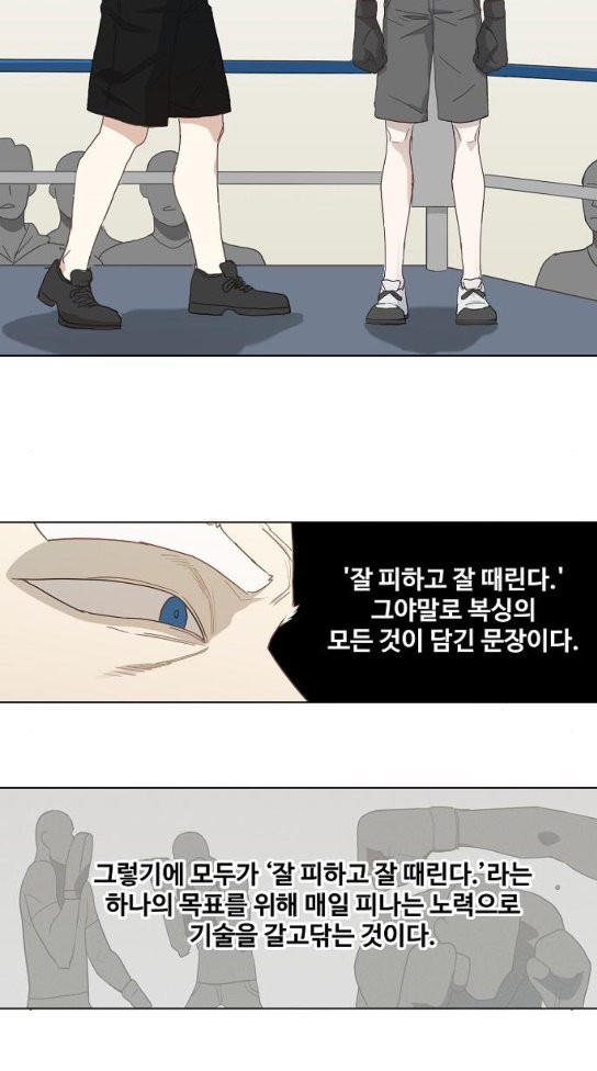 The Boxer Ch.13 p19
