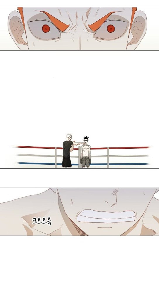 The Boxer Ch.13 p22
