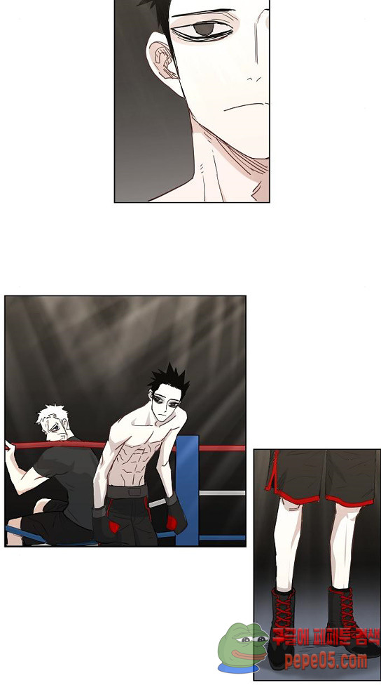 The Boxer Ch.15 p13