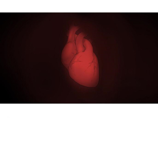The Boxer Ch.24 p147