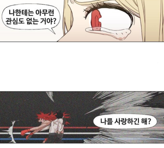 The Boxer Ch.26 p35