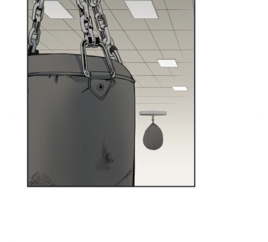 The Boxer Ch.28 p12
