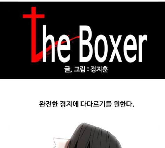 The Boxer Ch.28 p33