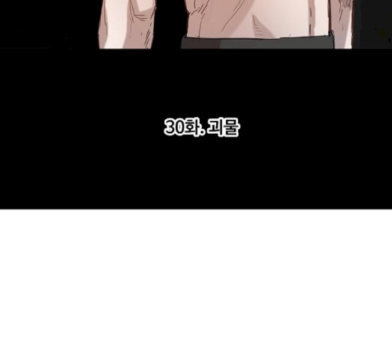 The Boxer Ch.30 p9